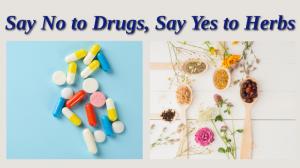 Say No to Drugs, Say Yes to Herbs